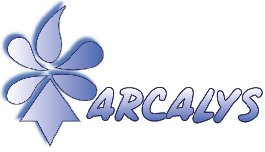 Adobe Illustrator CC Windows 7/8/10 torrent download – Arcalys ...