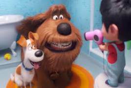 the secret life of pets movie torrent the secret life of pets movie torrent